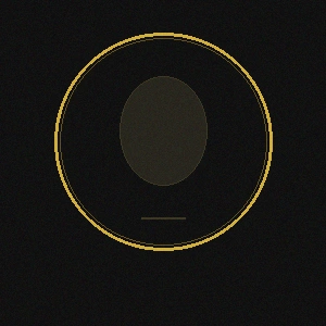 北京赛车首席分析师亚历山大陈