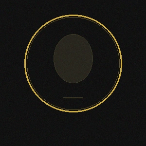 北京赛车图表架构师理查德王